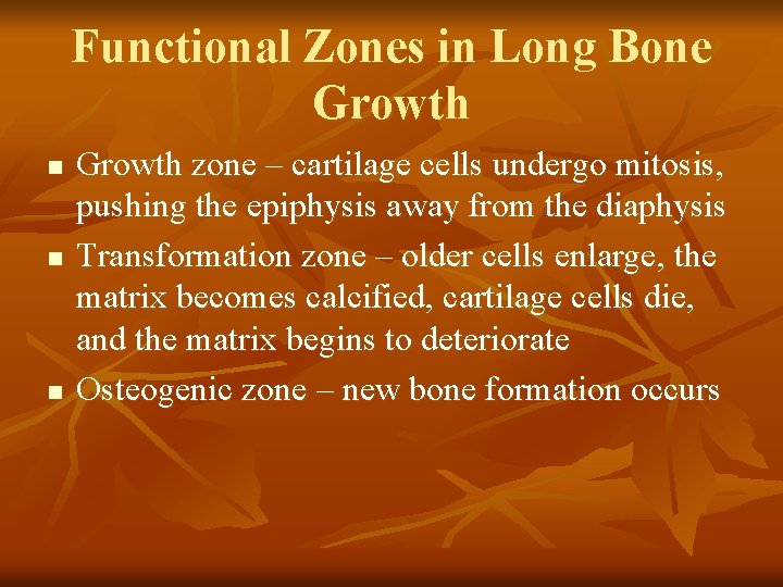 Functional Zones in Long Bone Growth n n n Growth zone – cartilage cells