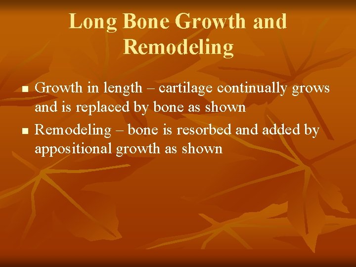 Long Bone Growth and Remodeling n n Growth in length – cartilage continually grows