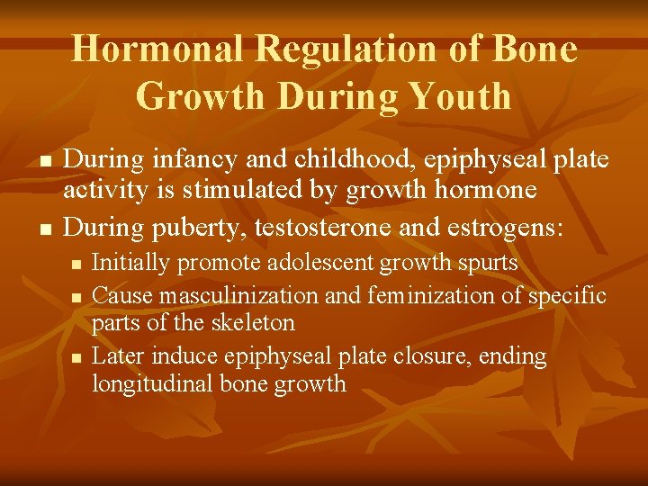 Hormonal Regulation of Bone Growth During Youth n n During infancy and childhood, epiphyseal