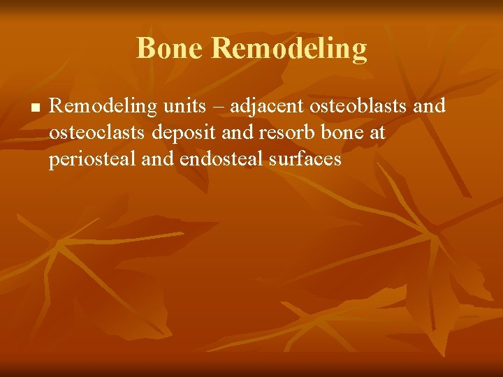 Bone Remodeling n Remodeling units – adjacent osteoblasts and osteoclasts deposit and resorb bone