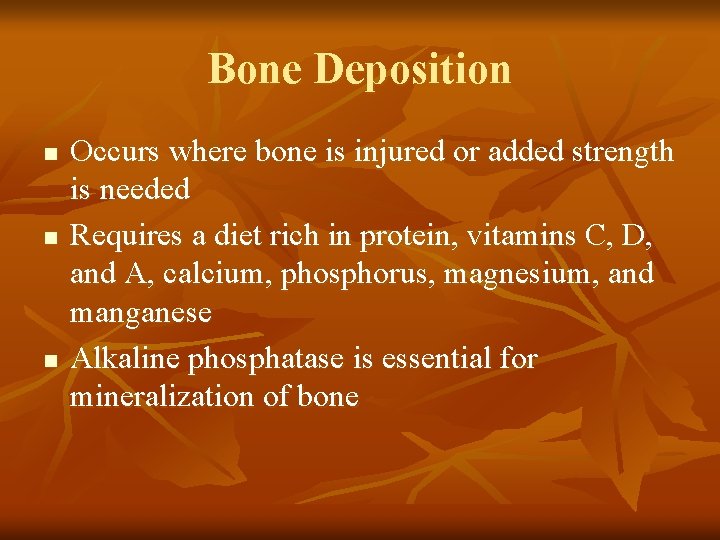 Bone Deposition n Occurs where bone is injured or added strength is needed Requires