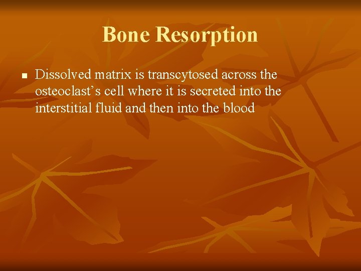 Bone Resorption n Dissolved matrix is transcytosed across the osteoclast’s cell where it is