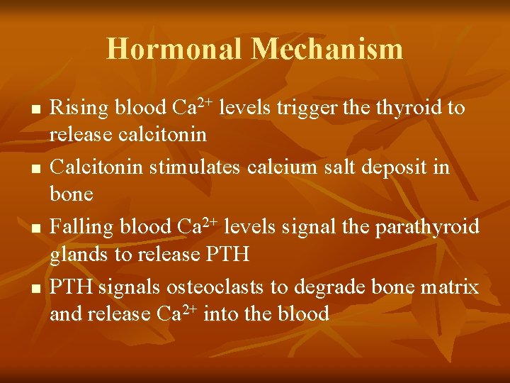 Hormonal Mechanism n n Rising blood Ca 2+ levels trigger the thyroid to release