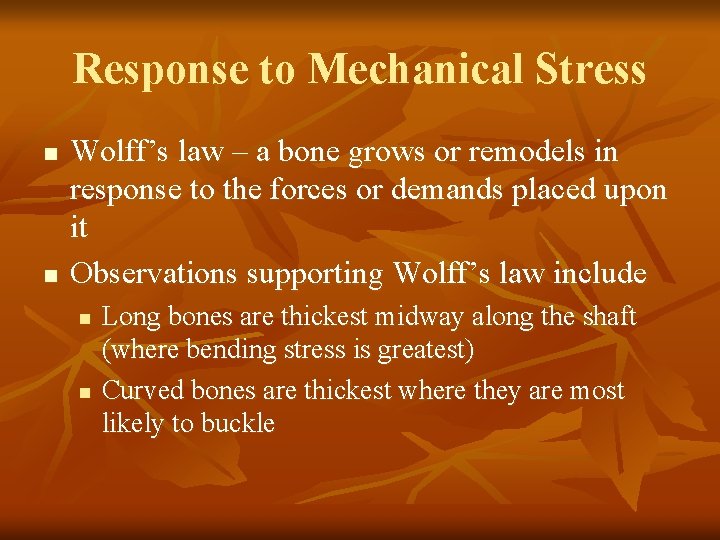 Response to Mechanical Stress n n Wolff’s law – a bone grows or remodels