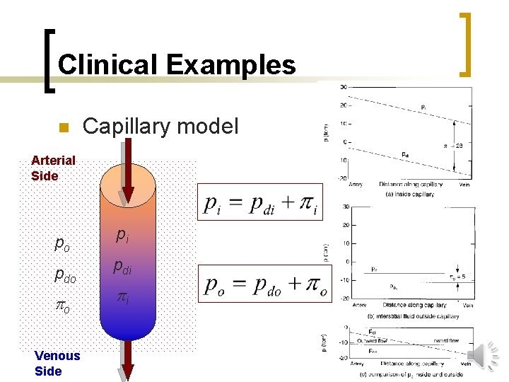 Clinical Examples n Capillary model Arterial Side po pi pdo pdi o Venous Side