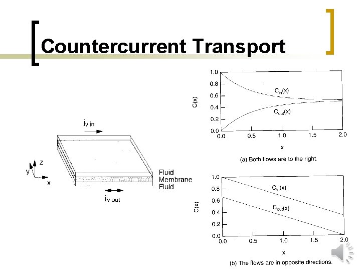 Countercurrent Transport 