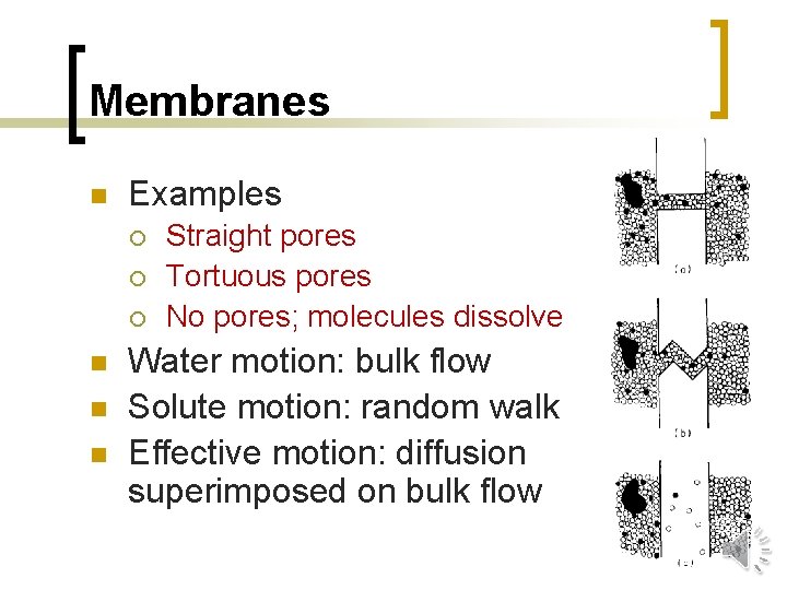 Membranes n Examples ¡ ¡ ¡ n n n Straight pores Tortuous pores No