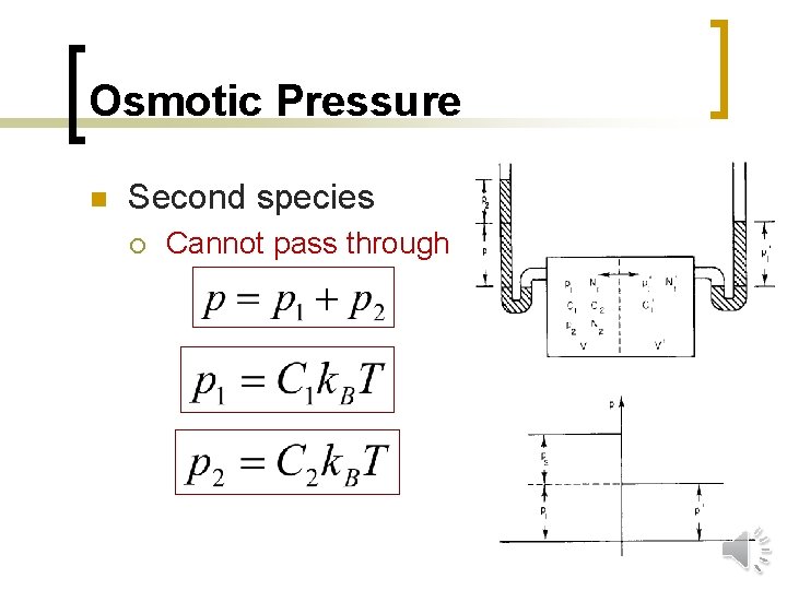 Osmotic Pressure n Second species ¡ Cannot pass through 