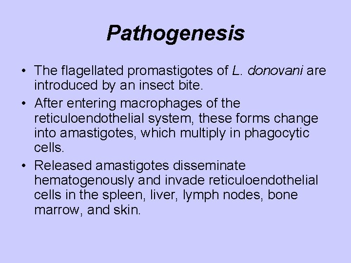 Pathogenesis • The flagellated promastigotes of L. donovani are introduced by an insect bite.