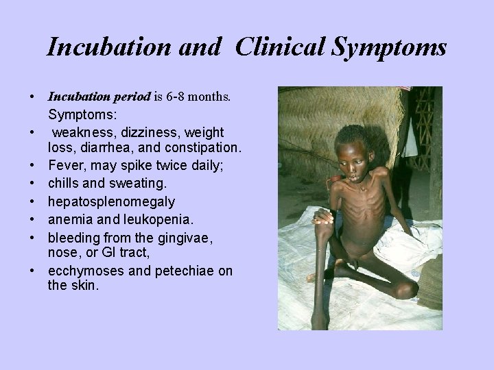 Incubation and Clinical Symptoms • Incubation period is 6 -8 months. Symptoms: • weakness,