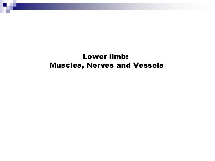 Lower limb: Muscles, Nerves and Vessels 
