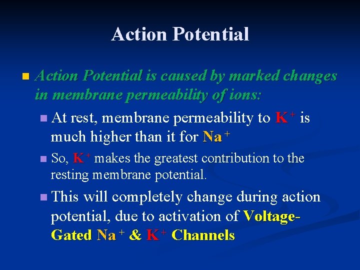 Action Potential n Action Potential is caused by marked changes in membrane permeability of