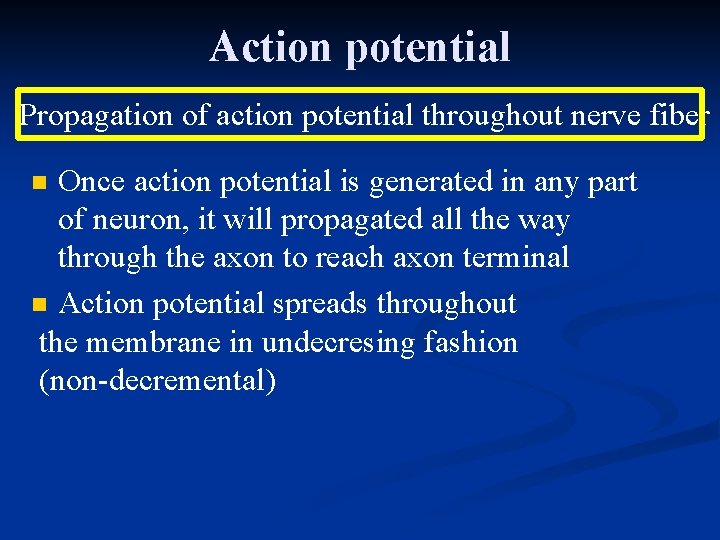 Action potential Propagation of action potential throughout nerve fiber Once action potential is generated