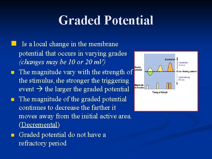 Graded Potential n Is a local change in the membrane n n n potential