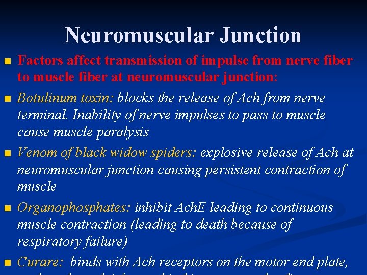 Neuromuscular Junction n n Factors affect transmission of impulse from nerve fiber to muscle