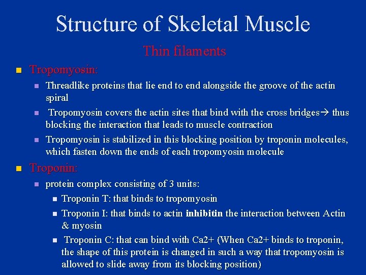 Structure of Skeletal Muscle Thin filaments n Tropomyosin: n n Threadlike proteins that lie