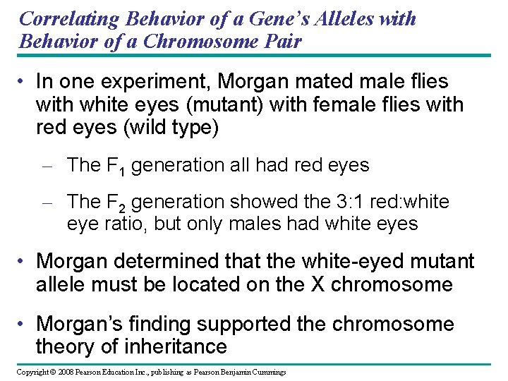 Correlating Behavior of a Gene’s Alleles with Behavior of a Chromosome Pair • In