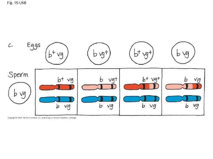 Fig. 15 -UN 9 