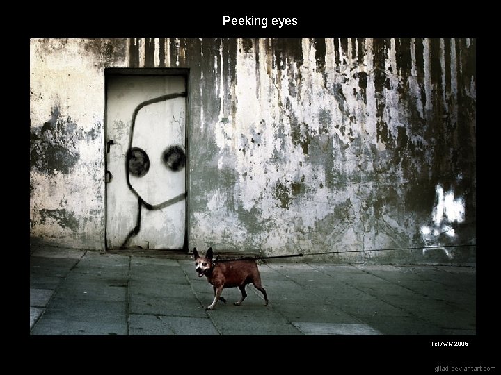 Peeking eyes Tel Aviv 2005 gilad. deviantart. com 