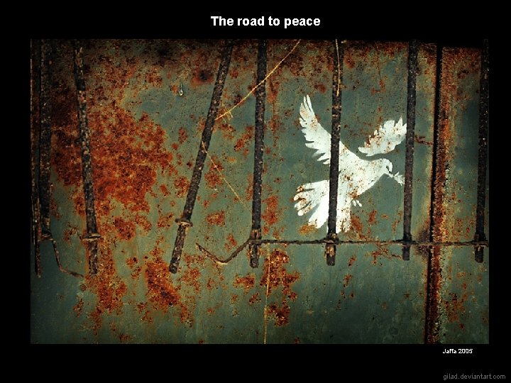 The road to peace Jaffa 2005 gilad. deviantart. com 