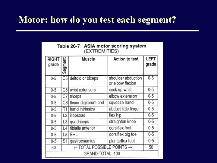 Motor: how do you test each segment? 