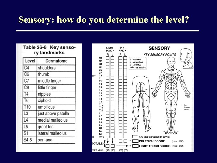 Sensory: how do you determine the level? 