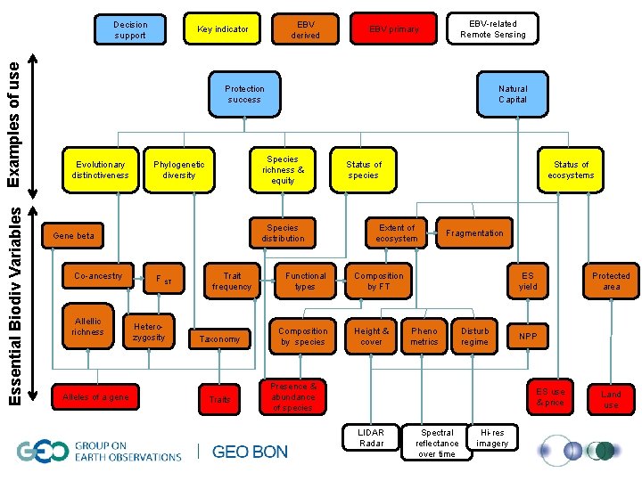 Essential Biodiv Variables Examples of use Decision support EBV derived Key indicator EBV-related Remote