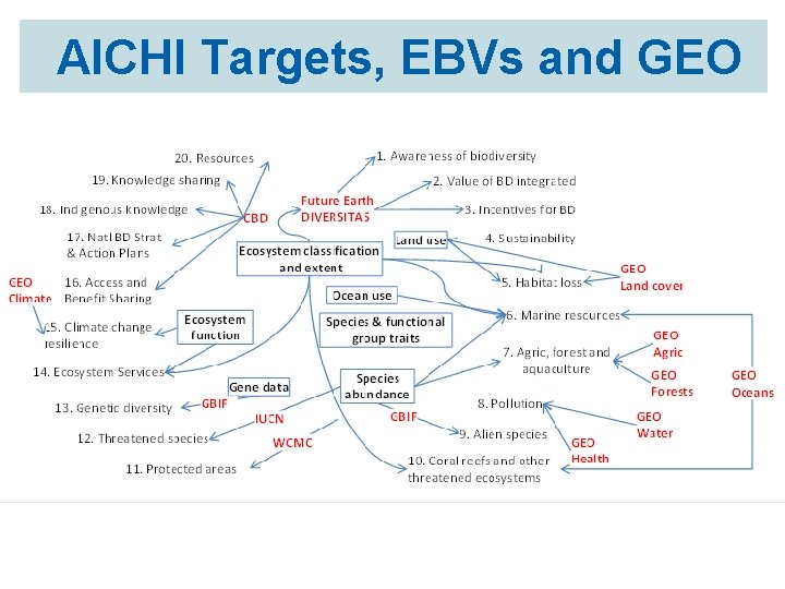 AICHI Targets, EBVs and GEO 