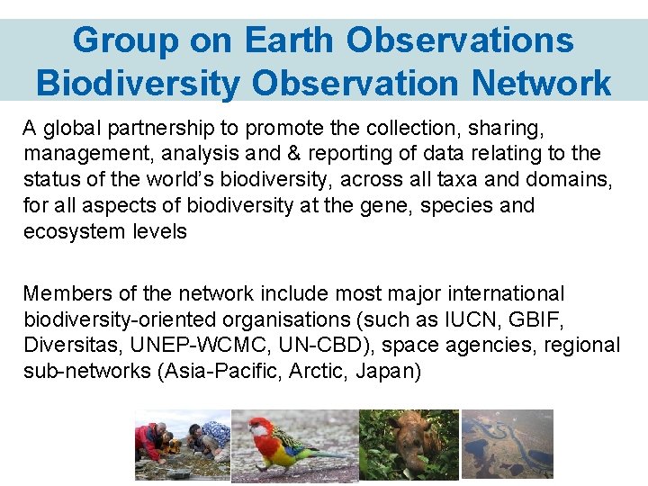 Group on Earth Observations Biodiversity Observation Network A global partnership to promote the collection,
