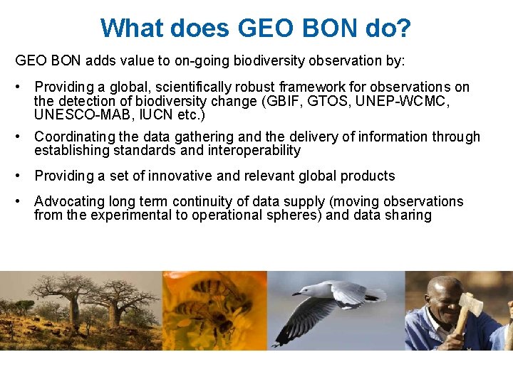 What does GEO BON do? GEO BON adds value to on-going biodiversity observation by: