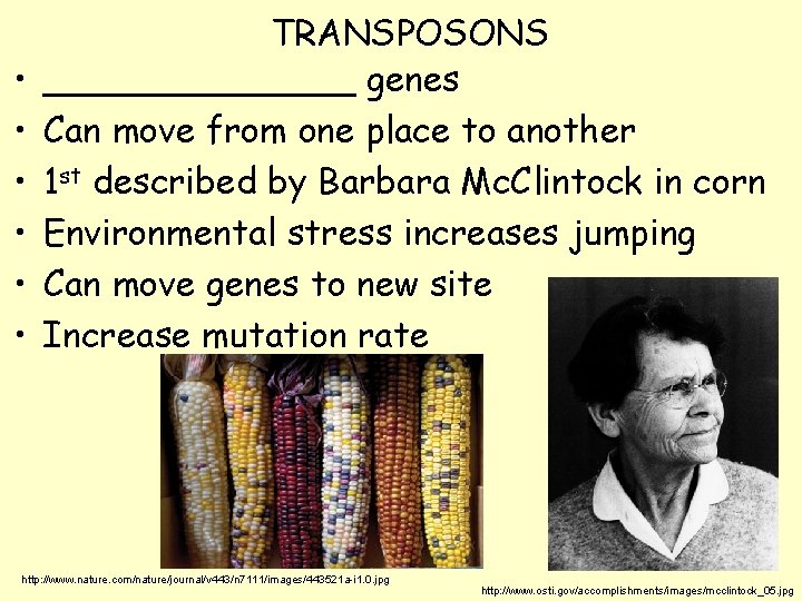  • • • TRANSPOSONS _______ genes Can move from one place to another