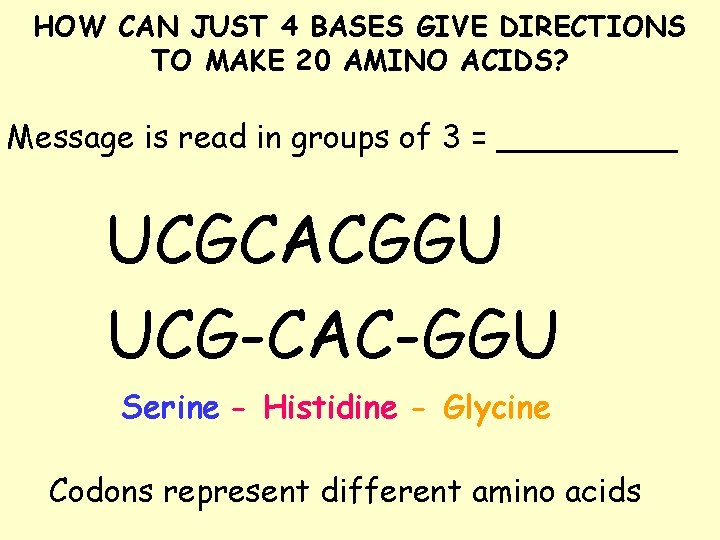 HOW CAN JUST 4 BASES GIVE DIRECTIONS TO MAKE 20 AMINO ACIDS? Message is