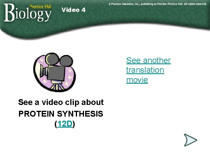 Video 4 See another translation movie See a video clip about PROTEIN SYNTHESIS (12