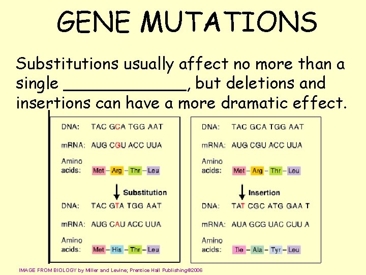 GENE MUTATIONS Substitutions usually affect no more than a single ______, but deletions and