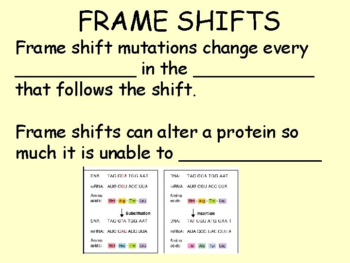 FRAME SHIFTS Frame shift mutations change every ______ in the ______ that follows the