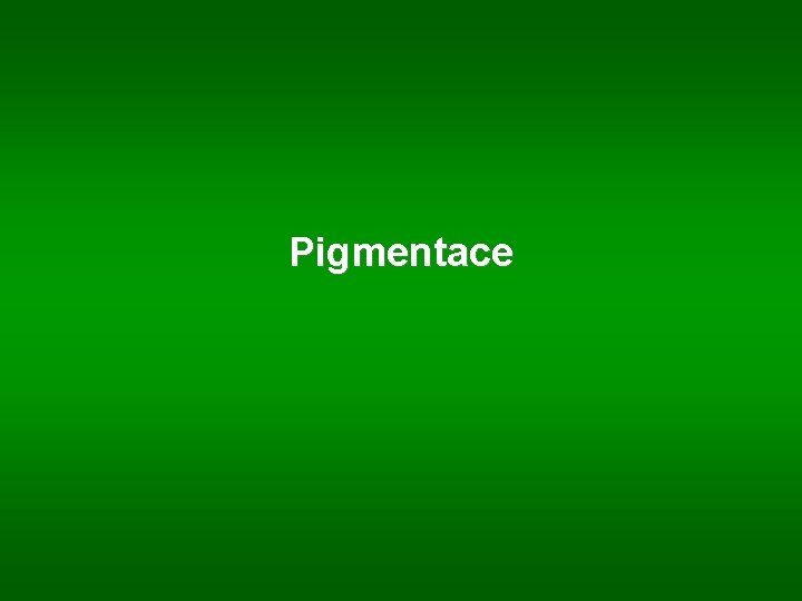 Pigmentace 