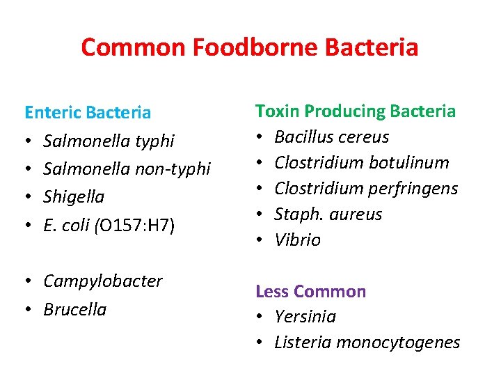 Common Foodborne Bacteria Enteric Bacteria • Salmonella typhi • Salmonella non-typhi • Shigella •