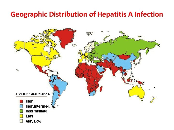 Geographic Distribution of Hepatitis A Infection 