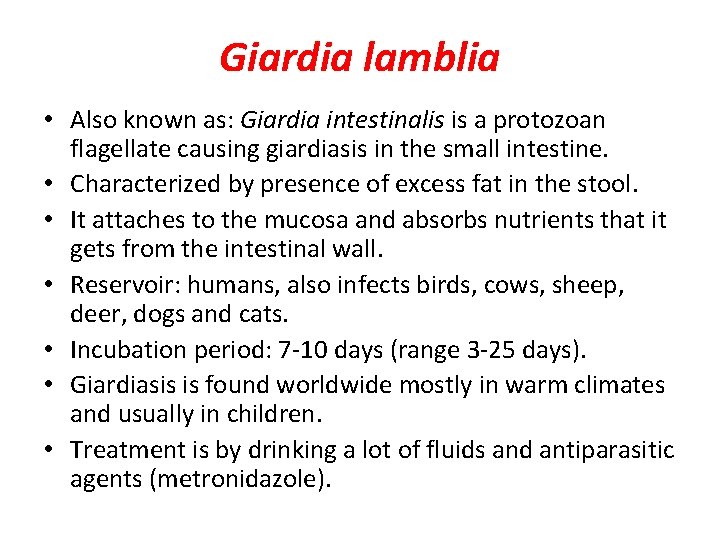 Giardia lamblia • Also known as: Giardia intestinalis is a protozoan flagellate causing giardiasis