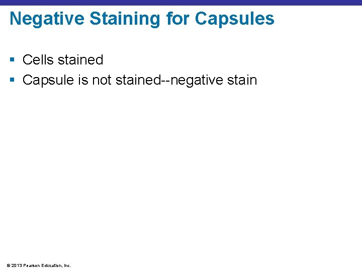 Negative Staining for Capsules § Cells stained § Capsule is not stained--negative stain ©