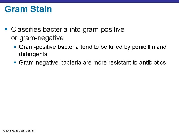 Gram Stain § Classifies bacteria into gram-positive or gram-negative § Gram-positive bacteria tend to