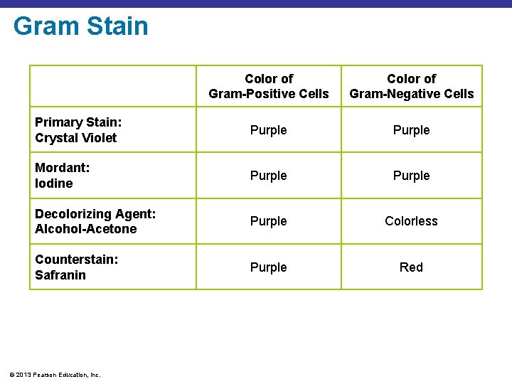 Gram Stain Color of Gram-Positive Cells Color of Gram-Negative Cells Primary Stain: Crystal Violet