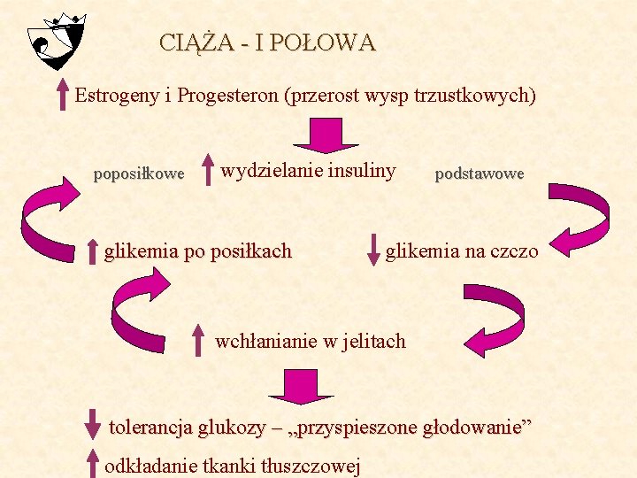 CIĄŻA - I POŁOWA Estrogeny i Progesteron (przerost wysp trzustkowych) poposiłkowe wydzielanie insuliny glikemia