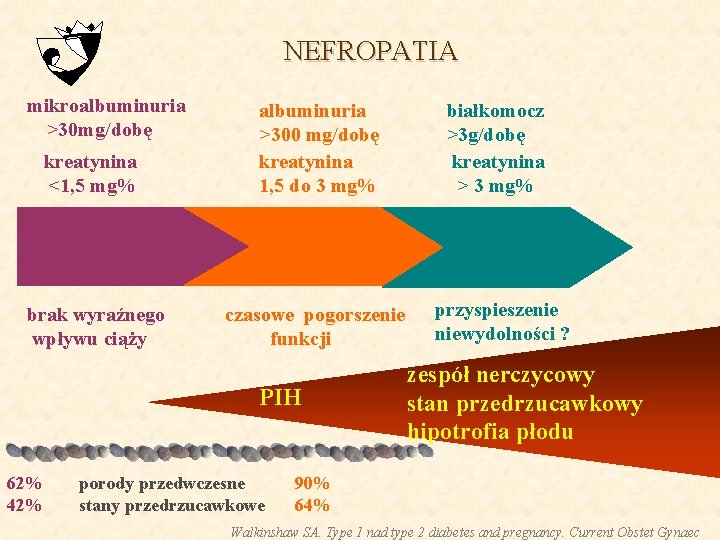 NEFROPATIA mikroalbuminuria >30 mg/dobę kreatynina <1, 5 mg% albuminuria >300 mg/dobę kreatynina 1, 5