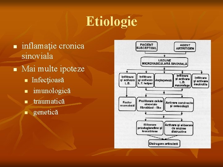 Etiologie n n inflamaţie cronica sinoviala Mai multe ipoteze n n Infecţioasă imunologică traumatică