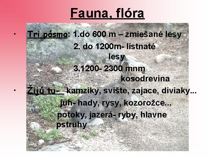Fauna, flóra • • Tri pásma: 1. do 600 m – zmiešané lesy 2.