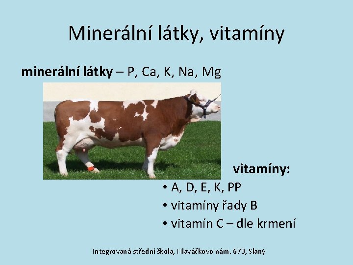 Minerální látky, vitamíny minerální látky – P, Ca, K, Na, Mg vitamíny: • A,