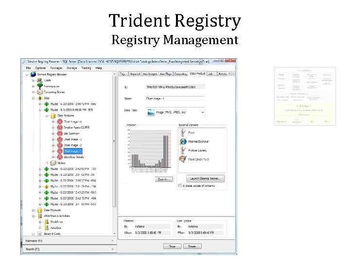Trident Registry Management 