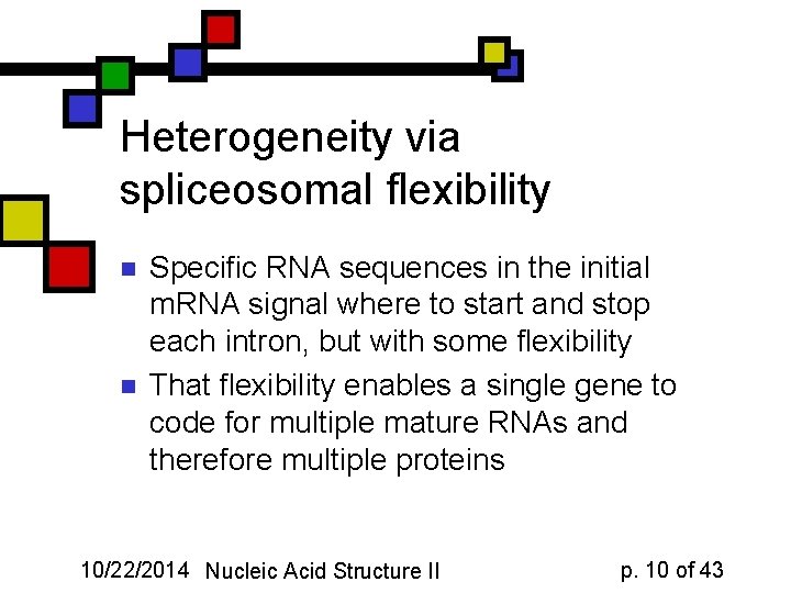 Heterogeneity via spliceosomal flexibility n n Specific RNA sequences in the initial m. RNA