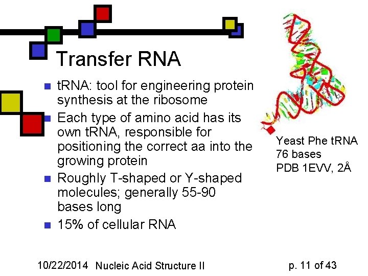 Transfer RNA n n t. RNA: tool for engineering protein synthesis at the ribosome